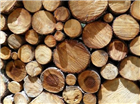 Supply & Sale of Seasoned and Un-Seasoned Logs